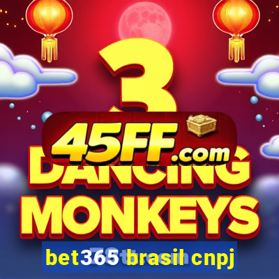 bet365 brasil cnpj